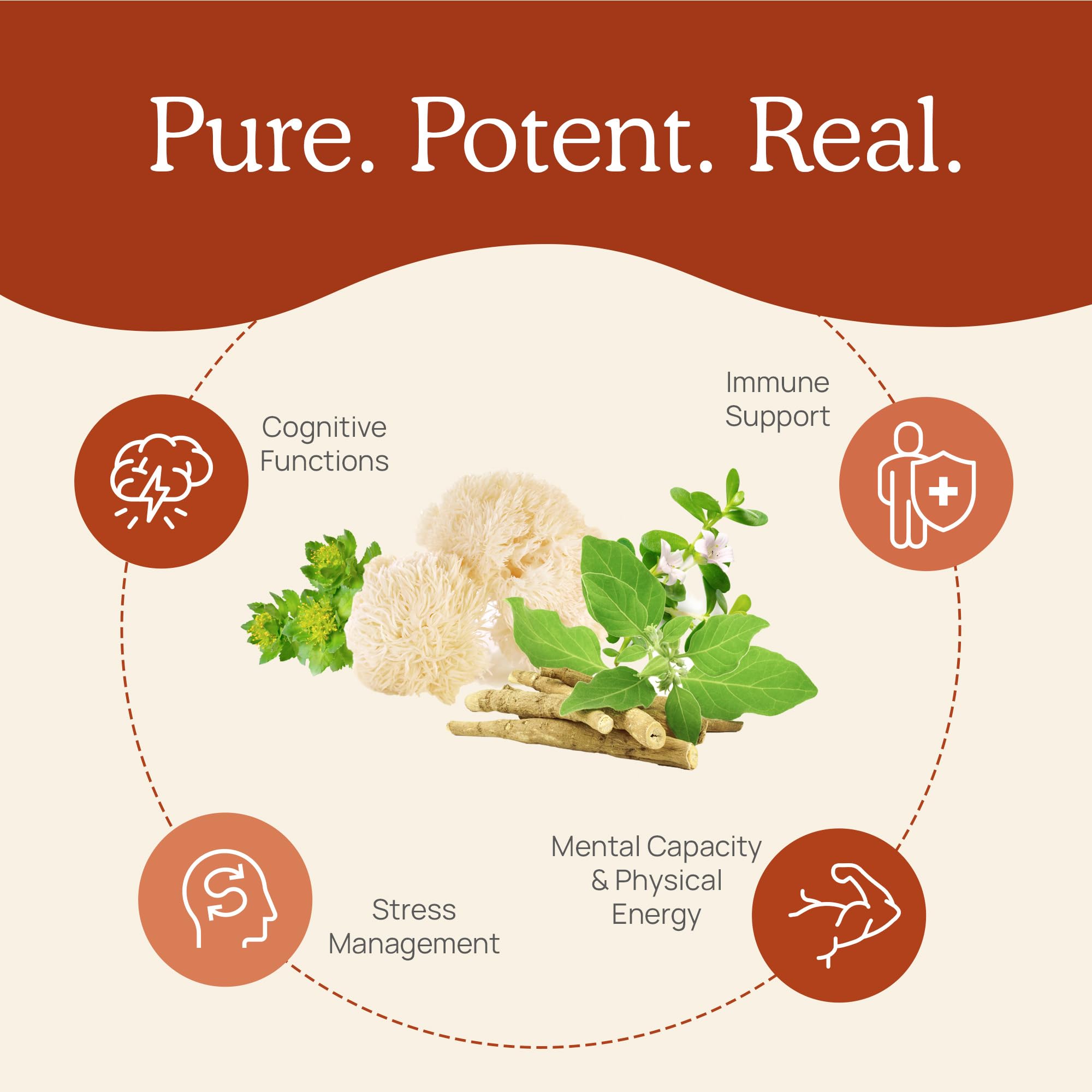 Real Mushrooms RealClarity nutrition panel highlights fruiting body extracts.
