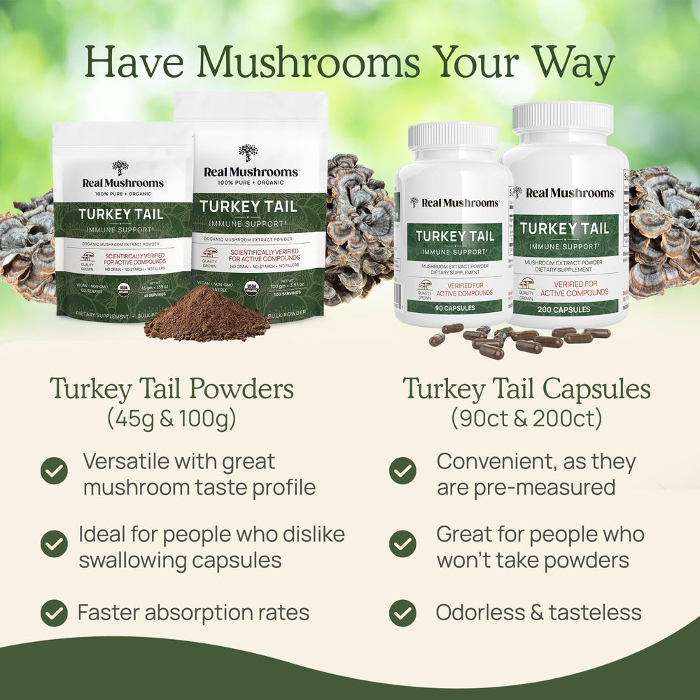 Real Mushrooms Turkey Tail capsules added to smoothie for seamless ingestion