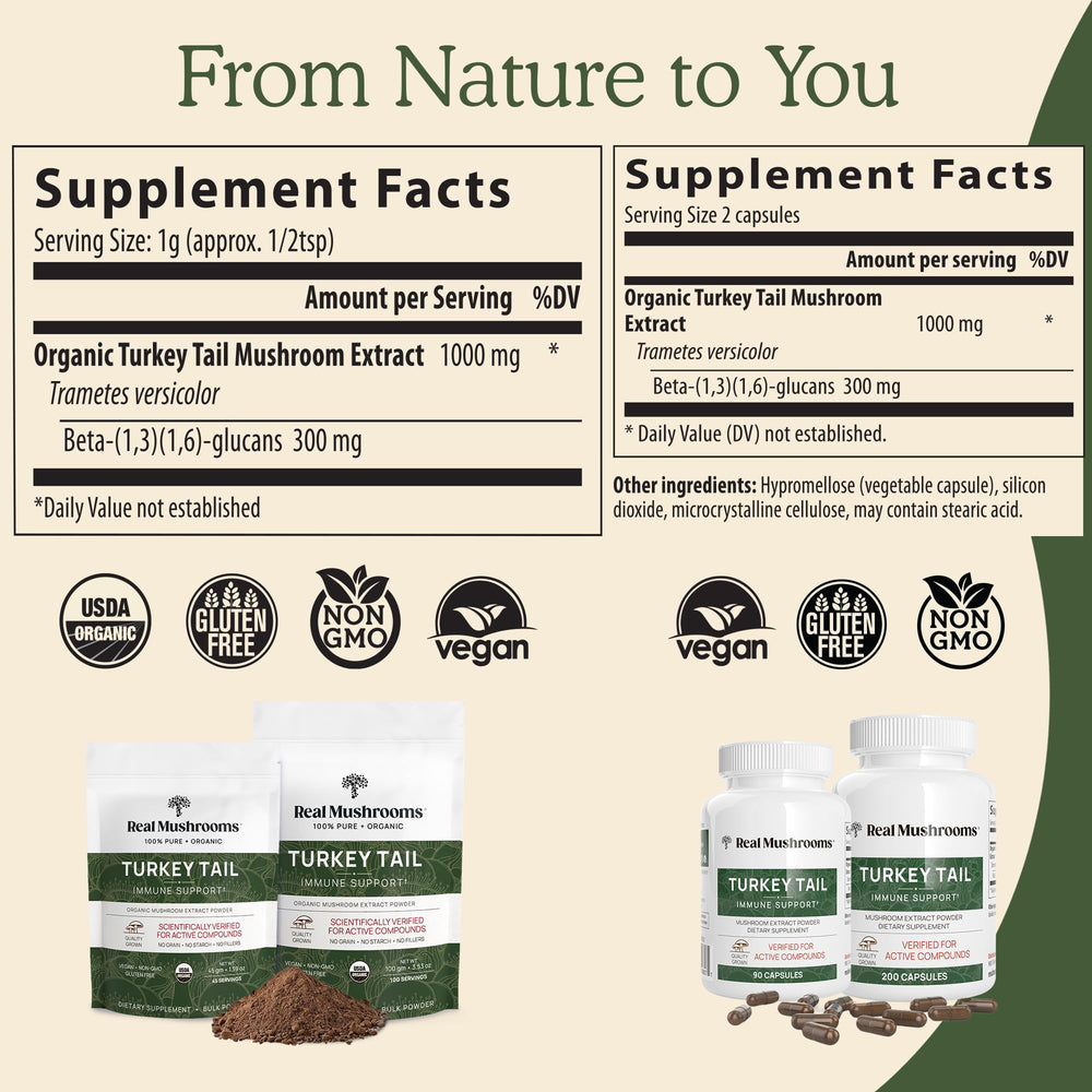 Real Mushrooms Turkey Tail capsules close-up view of individual capsules for easy daily intake