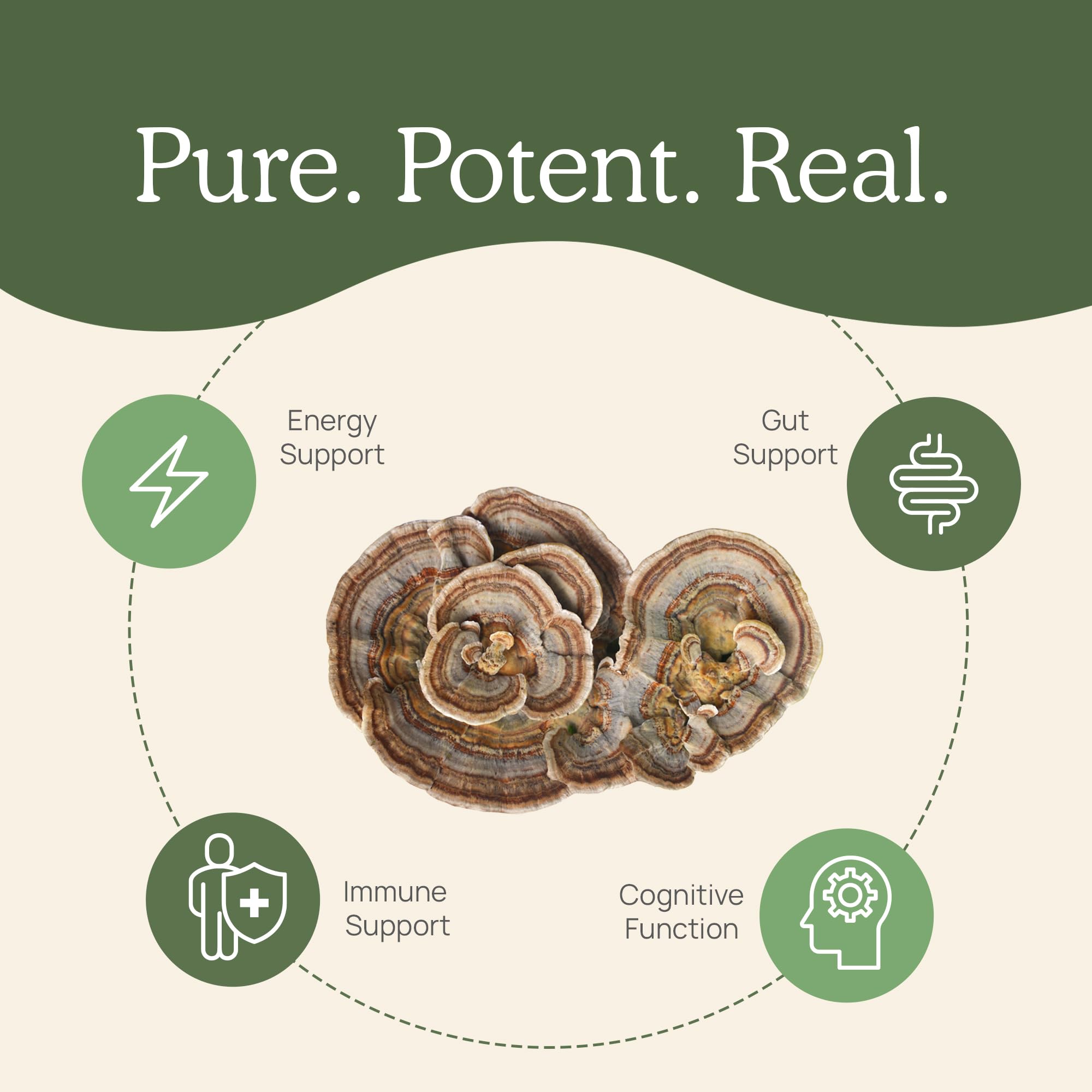 Daily routine setup with Real Mushrooms Turkey Tail capsules for easy integration.