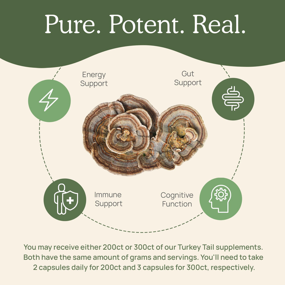 Real Mushrooms Turkey Tail capsules held in hand for convenient daily use