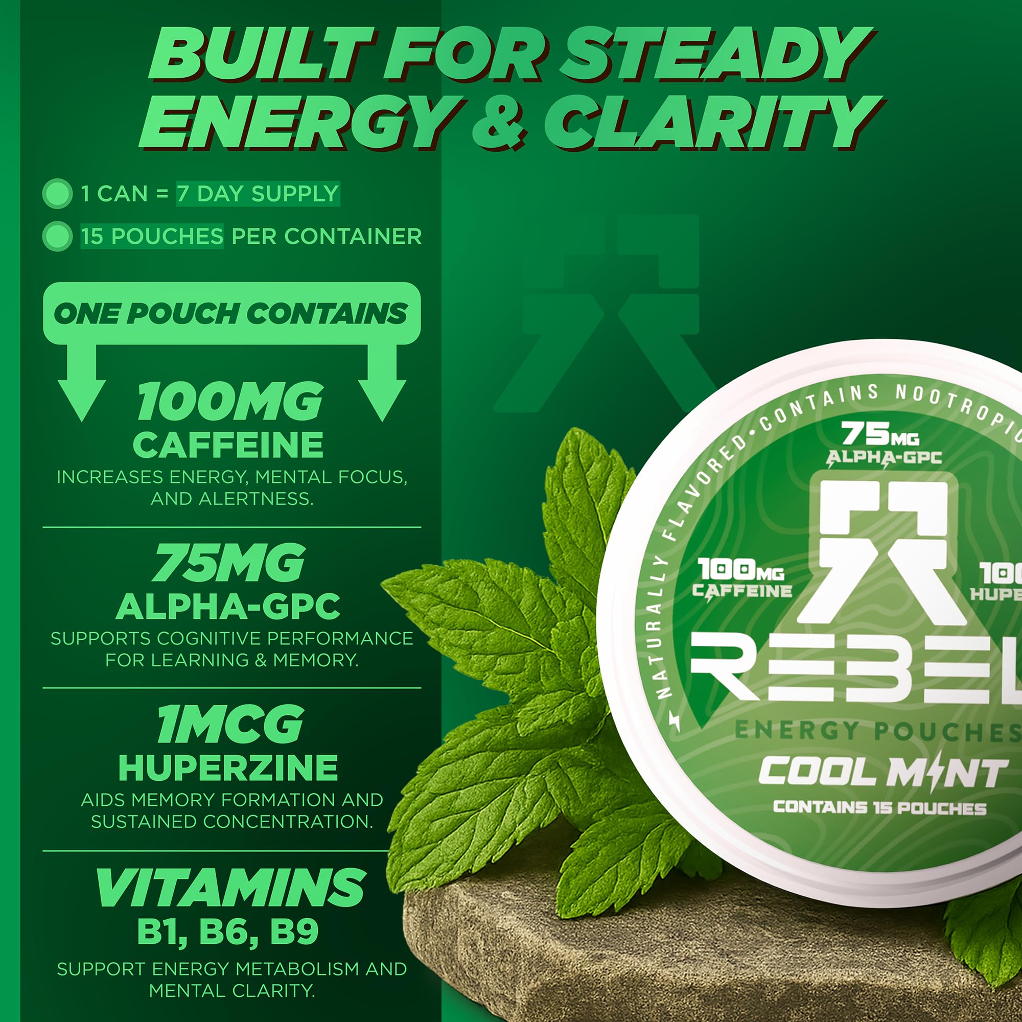 Rebel Supplements Alpha GPC and Huperzine A icons with B-Vitamins signaling cognitive support