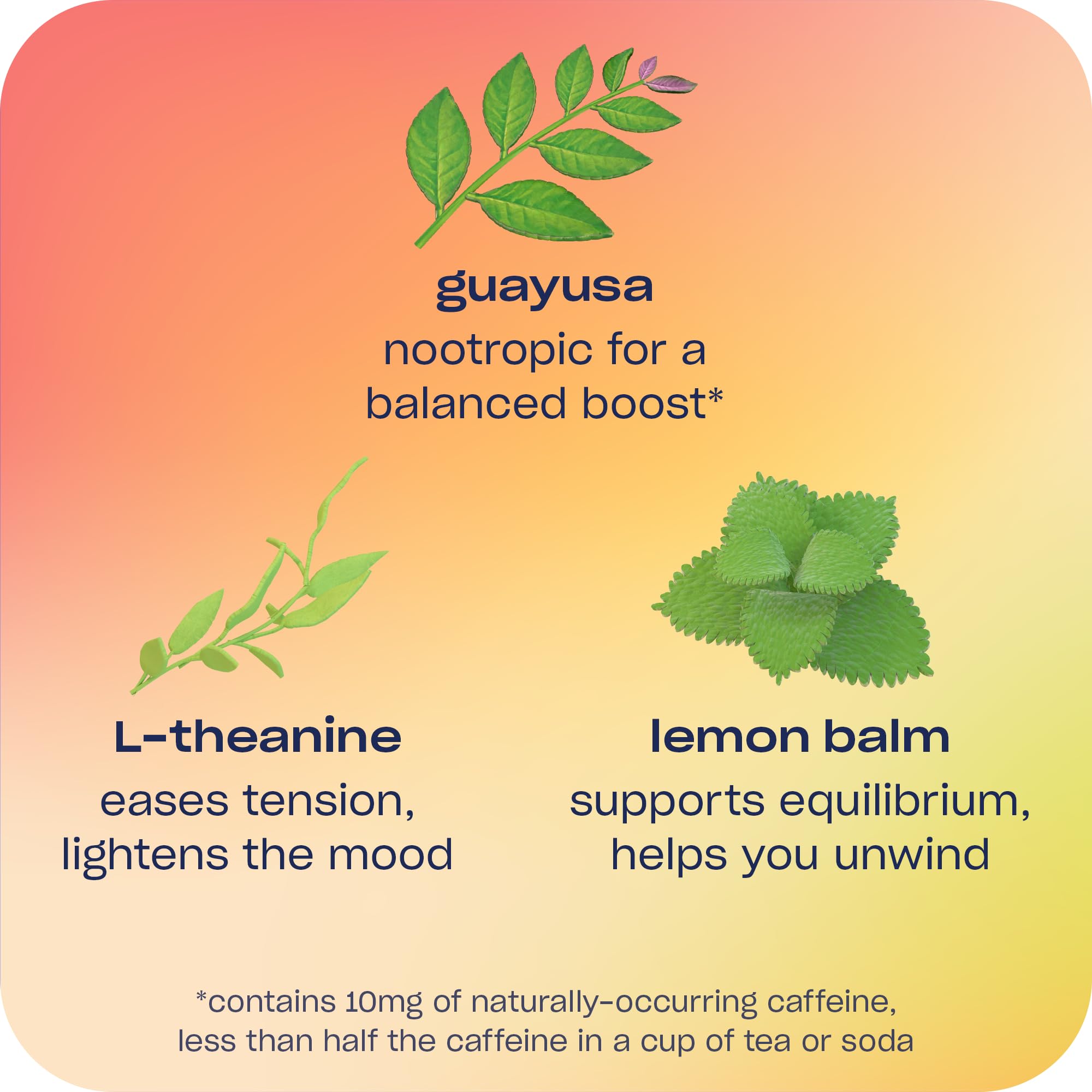 Recess guayusa caffeine sparkle highlights energy in a mocktail.