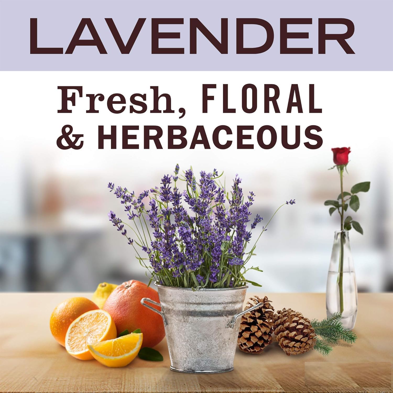 Red Barn Lavender Aromatherapy candle close-up highlights clean-burning soy wax