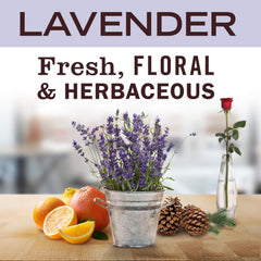 Red Barn Lavender Aromatherapy candle close-up highlights clean-burning soy wax
