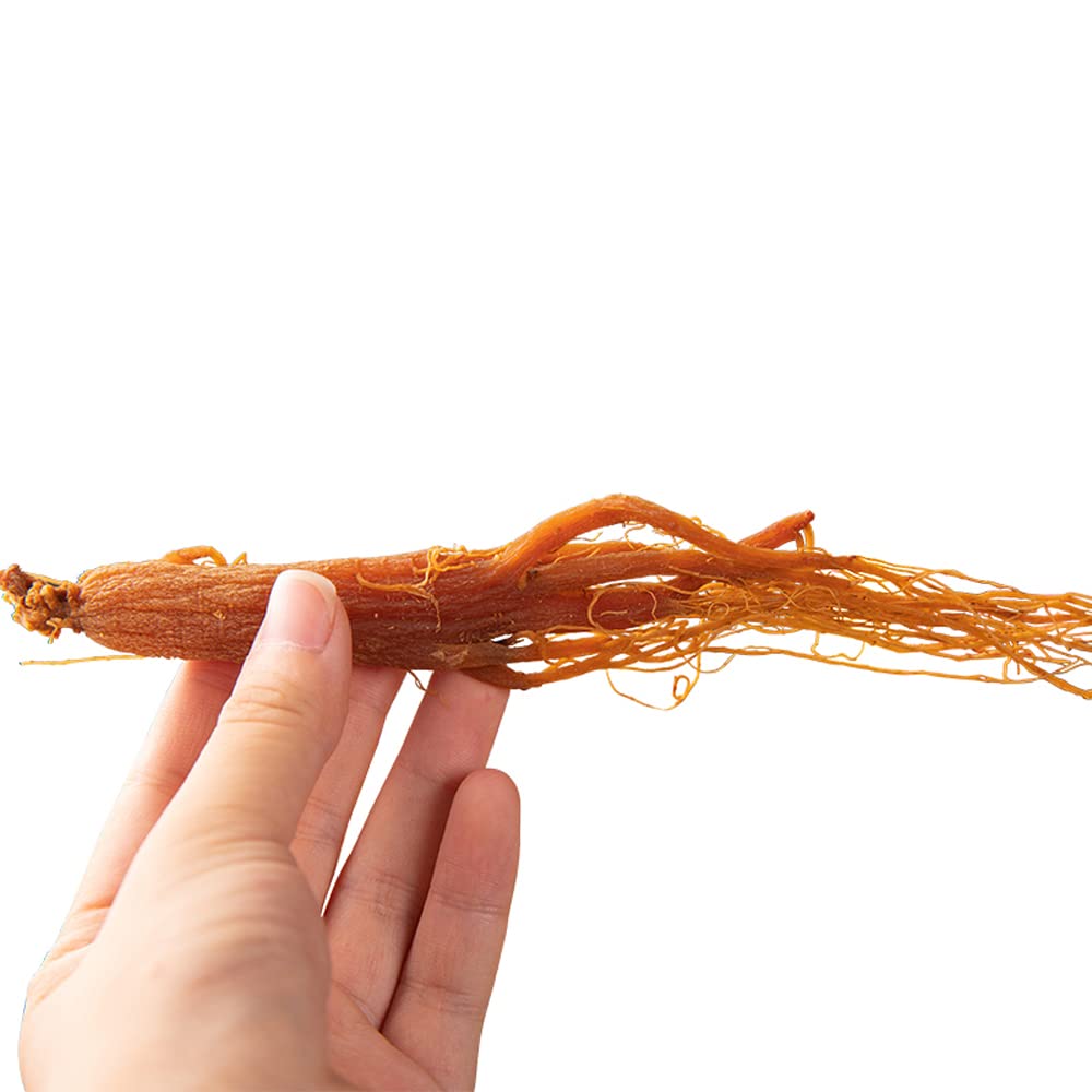 Red Ginseng Roots – sliced segments ready for steeping and flavor
