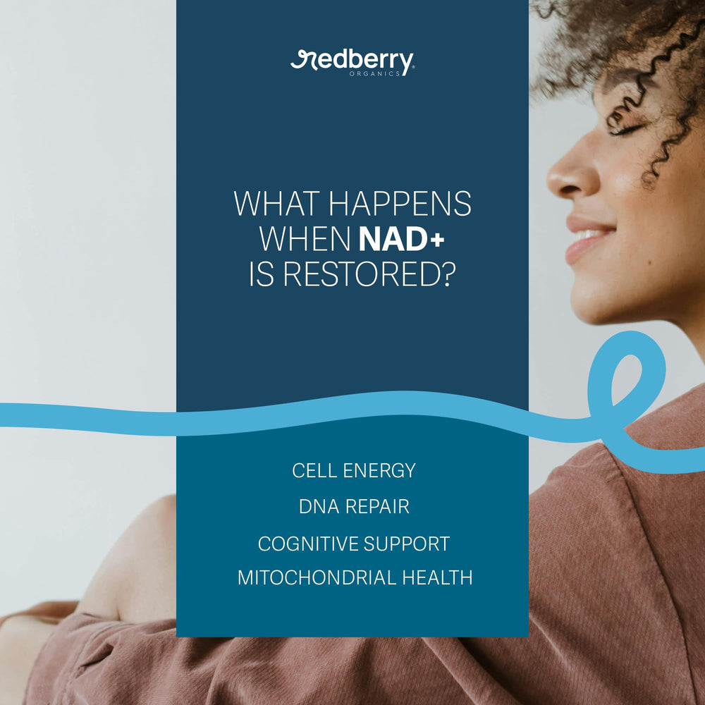 Redberry NAD green tea extract image suggests antioxidant balance.