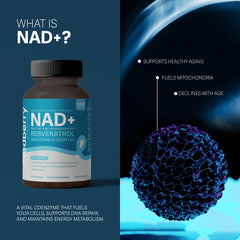 Redberry NAD resveratrol and urolithin-a highlight mitochondrial support.