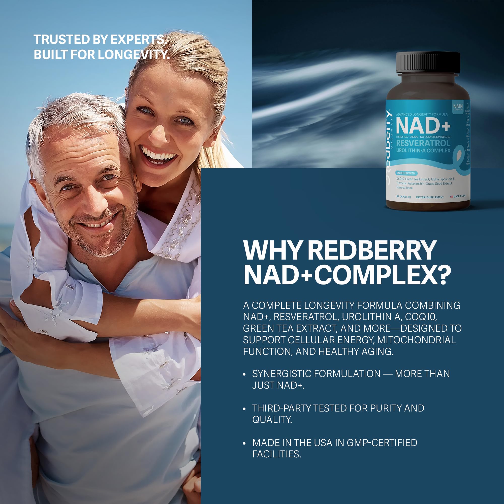 Redberry NAD turmeric shows anti-inflammatory and wellness-friendly blend.