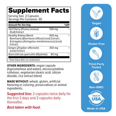 Gouch capsules closeup highlighting vegan capsule format