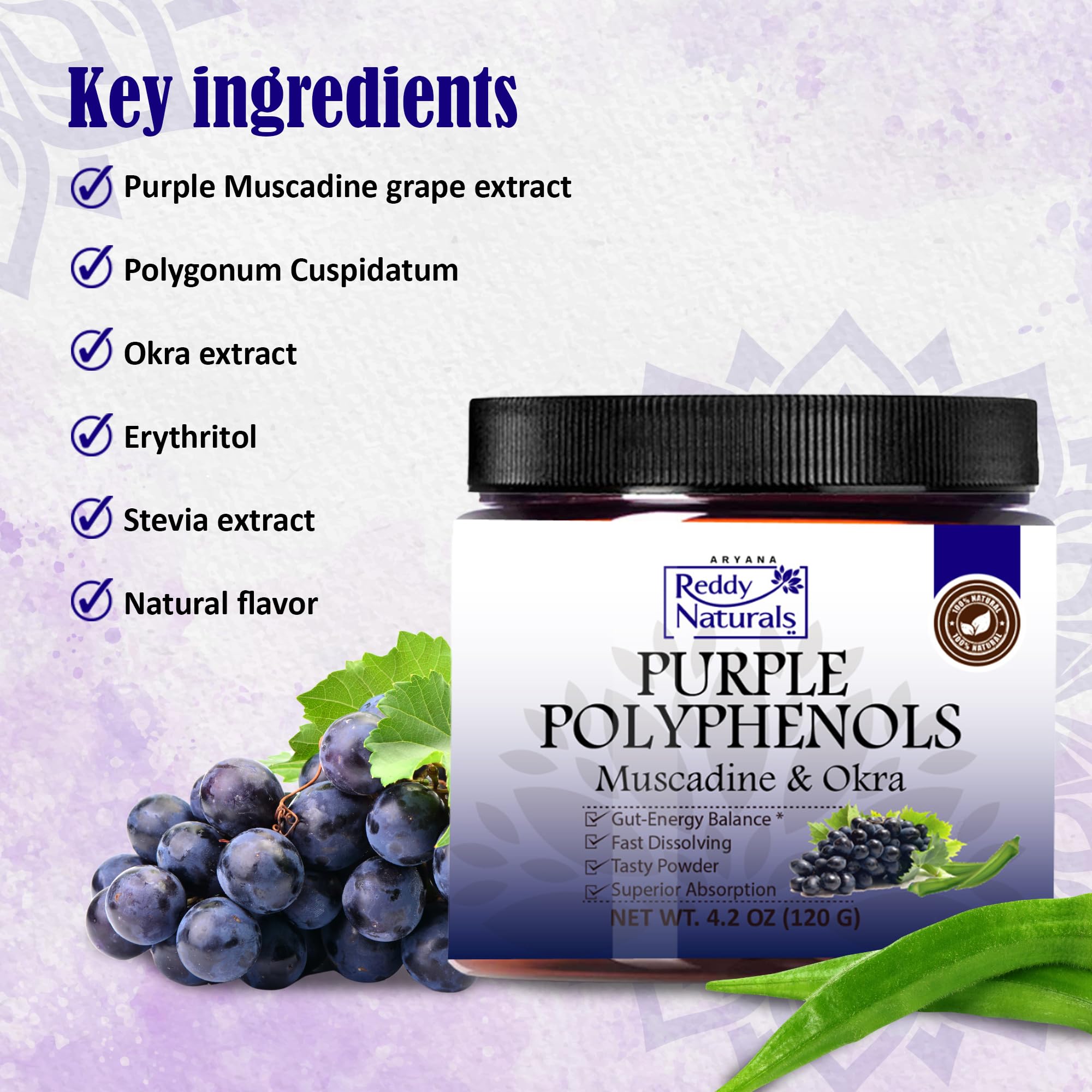 Reddy Naturals Purple Polyphenols powder close-up showing natural sweeteners.