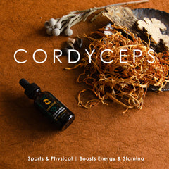 Redmint Cordyceps dropper close-up enabling controlled servings.