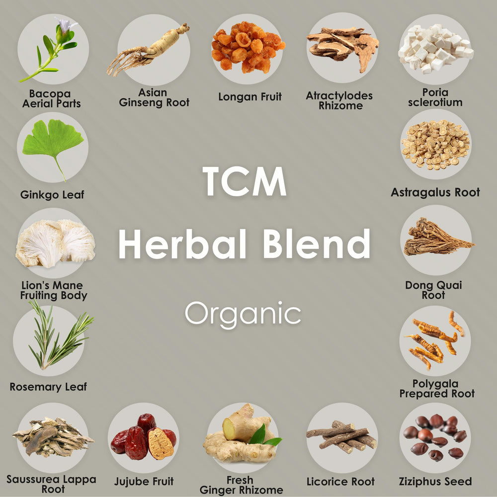 Redmint Lion's Mane tincture added to coffee or tea for morning clarity.