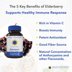 Rejuvenation Therapeutics elderberry capsules pour: convenient daily dosing for antioxidant support.
