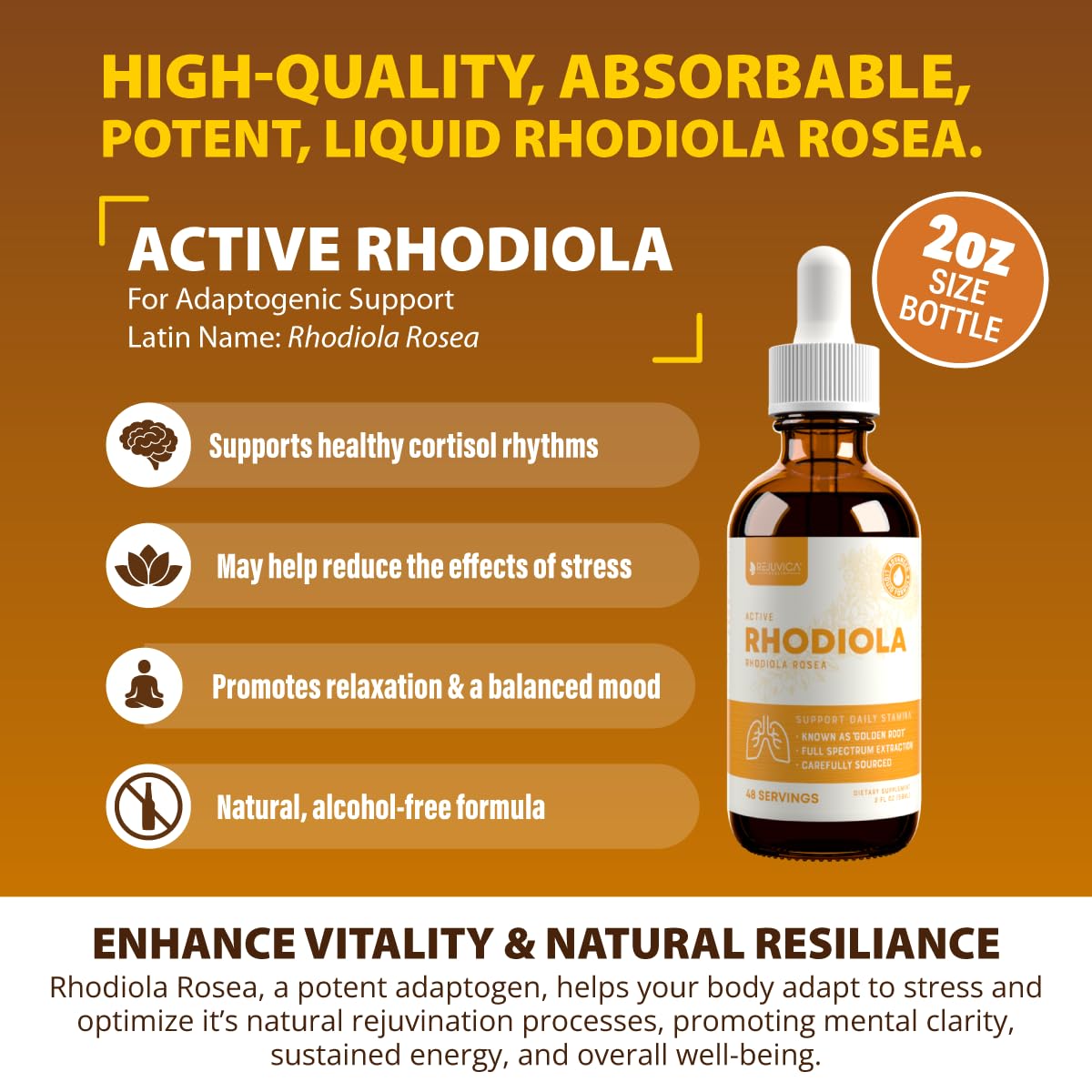 Rejuvica Health Active Rhodiola liquid drops ready for fast absorption