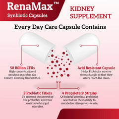 RENAMAX probiotic strains banner featuring four gut-supporting bacteria
