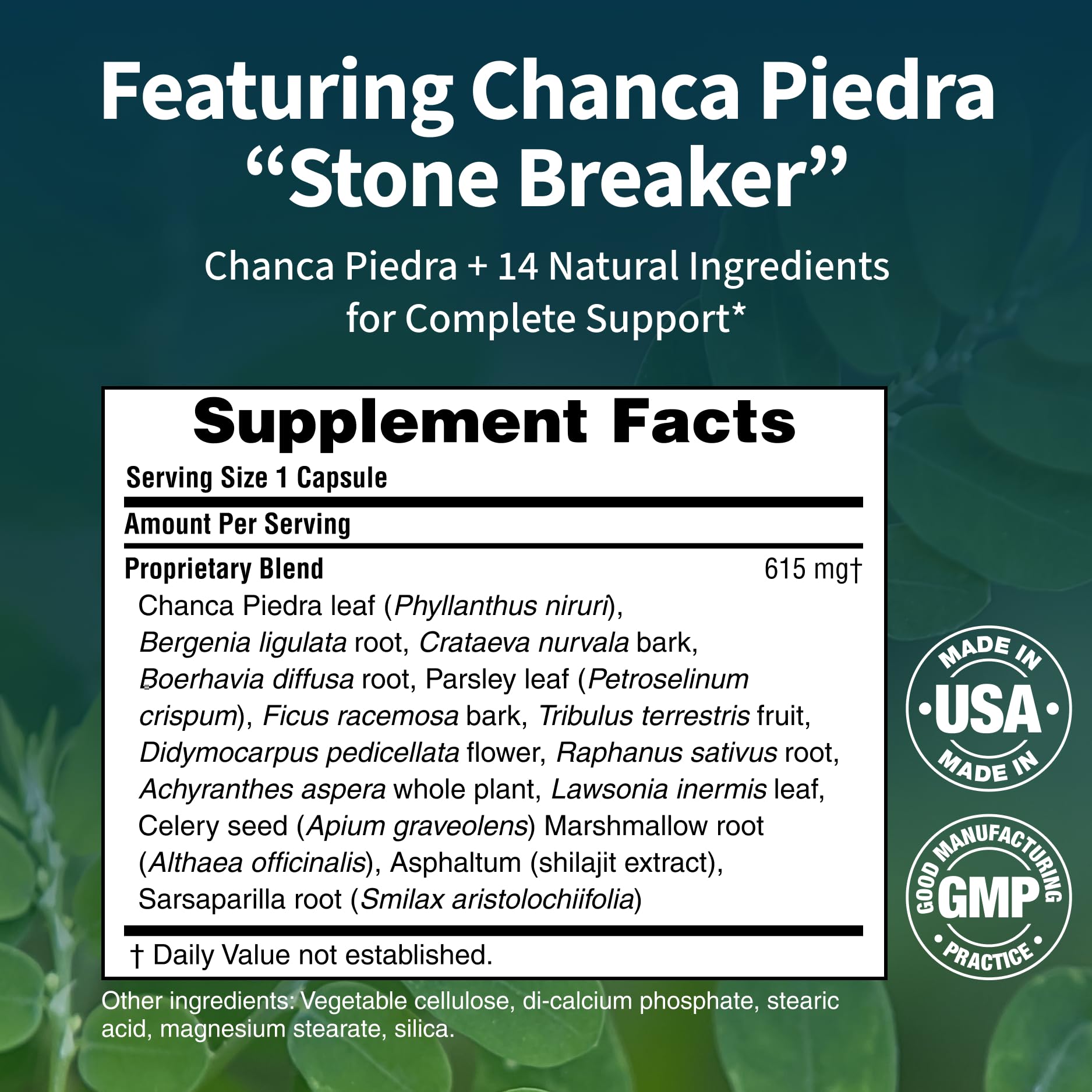 Renavive Kidney Cleanse label detail with GMP and USA manufacturing cues