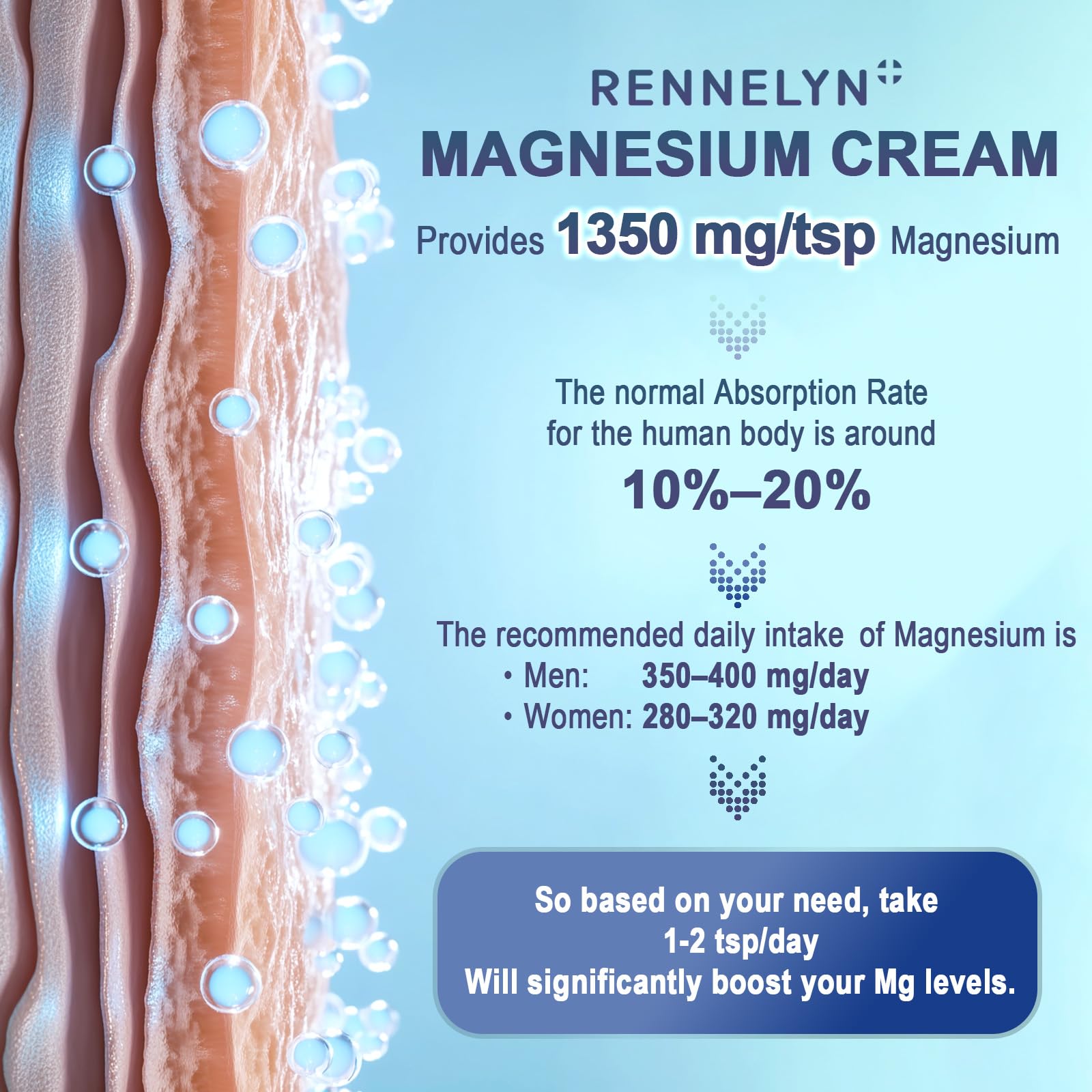 Rennelyn Magnesium Cream ingredients graphic highlights glycinate, malate, and chloride for balanced support.