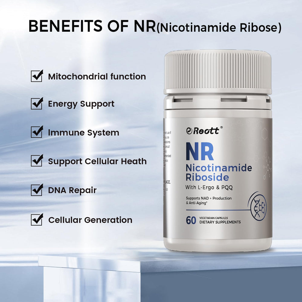 REOTT NR dosage guide shows two capsules daily for easy routine integration.