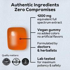 Reprise Goji Berry Gummies collection highlights convenient plant-based berry treat