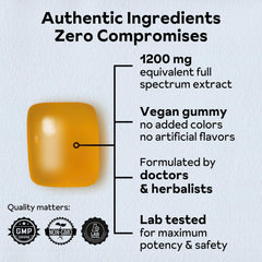 Reprise Jujube Seed Gummies bottle shot demonstrates convenient, gelatin-free option for winding down.
