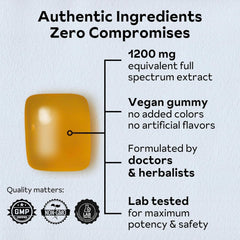 Reprise Reishi gummies resting on hand for easy daytime snacking.