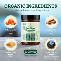 RESAWN Sea Moss Gummies pack-front shows portable daily wellness option