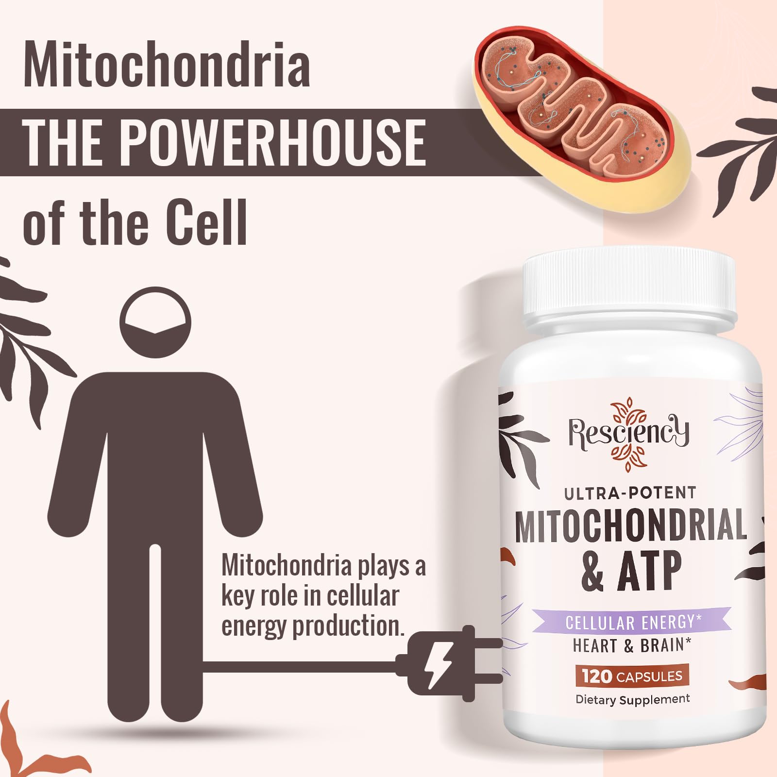 Resciency energy endurance support for busy professionals.