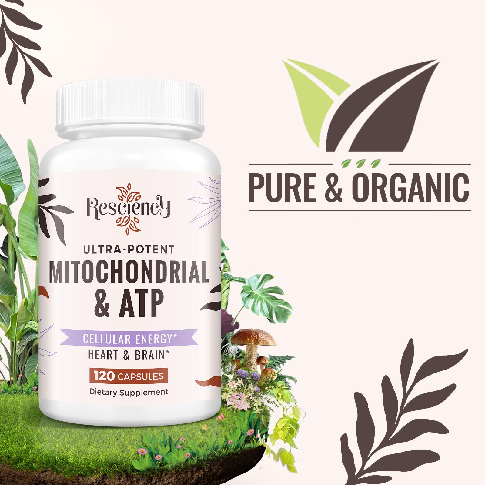 Resciency organic beetroot and maca root for natural energy.