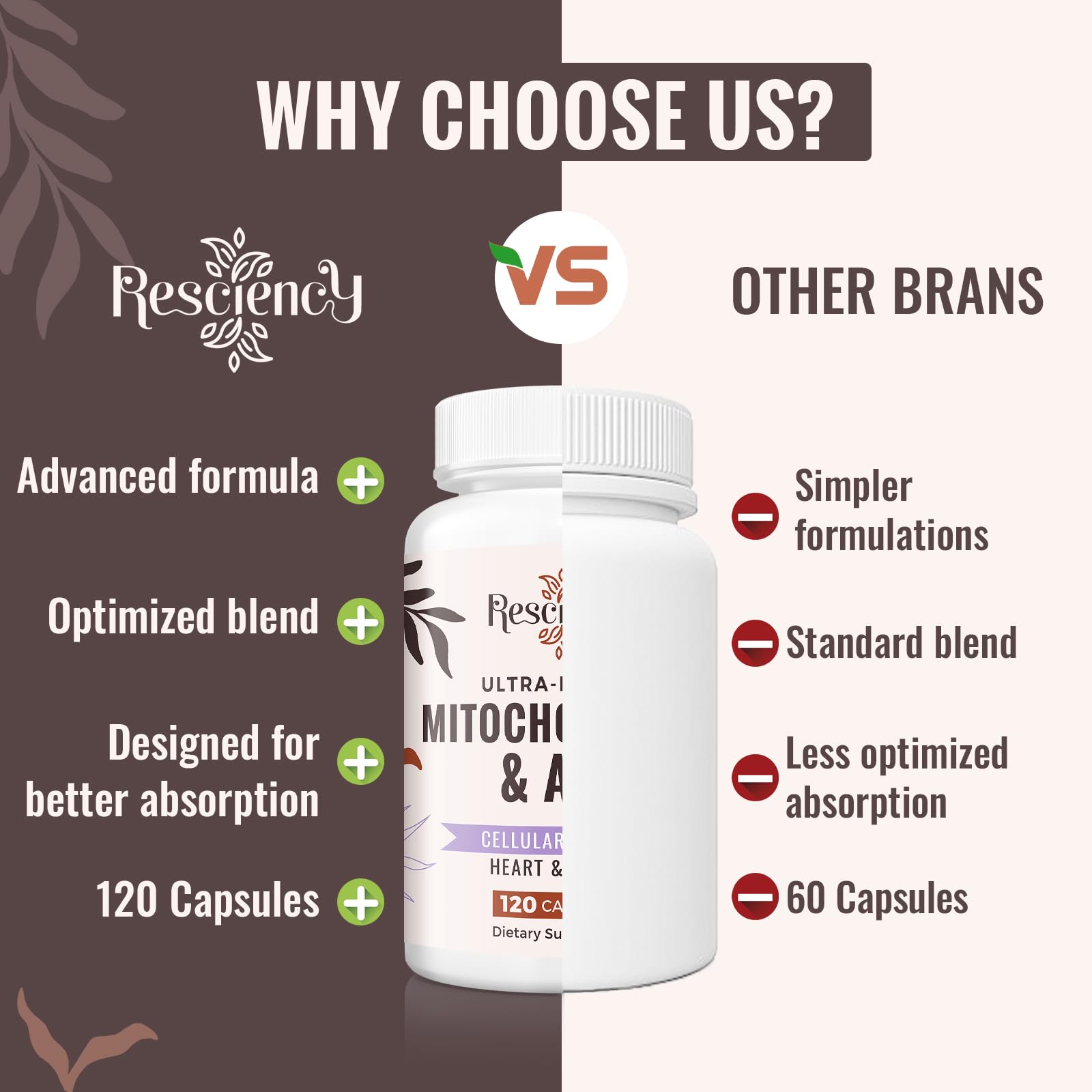 Resciency trans-resveratrol and turmeric provide antioxidant support