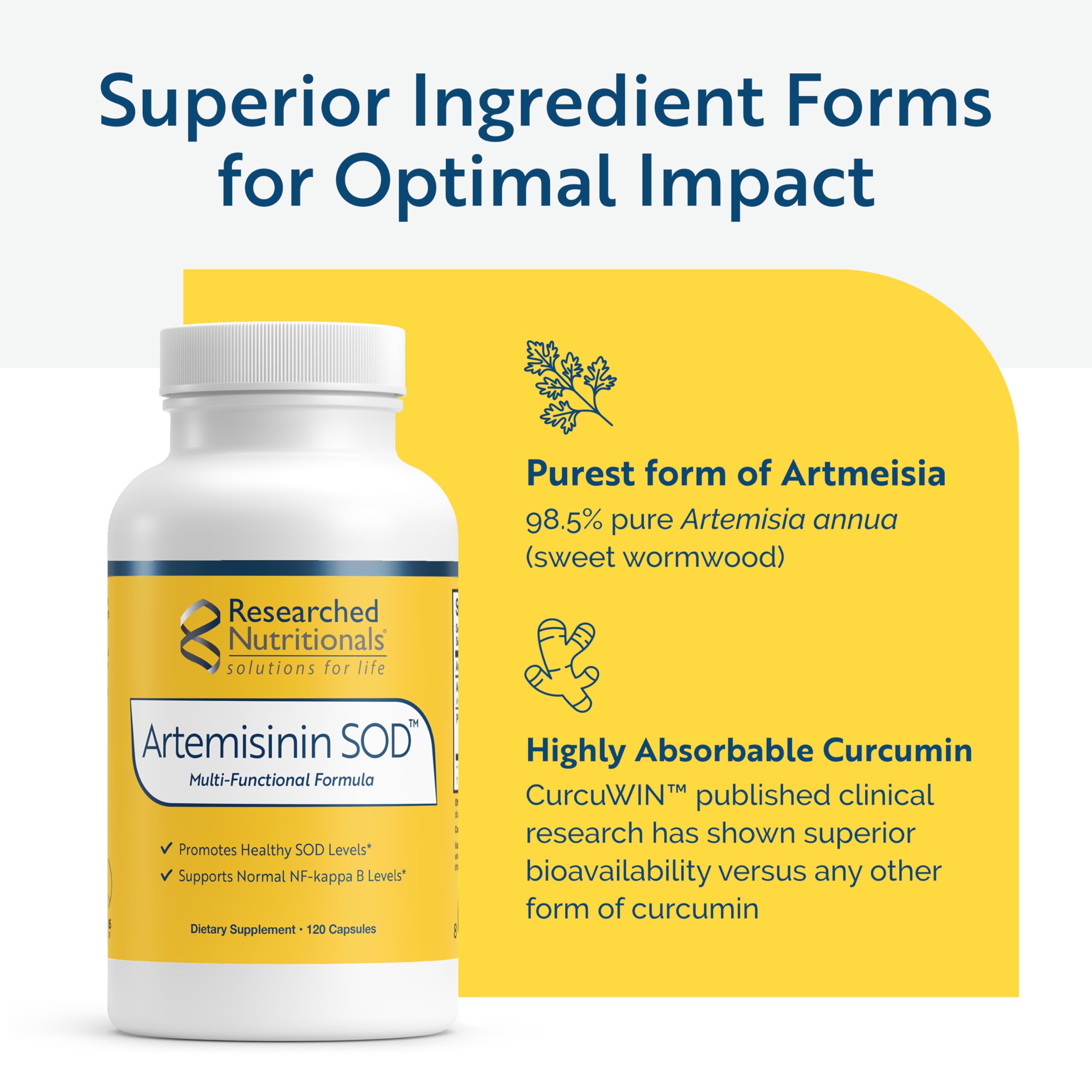 Researched Nutritionals Artemisinin SOD with green tea extract component on display.