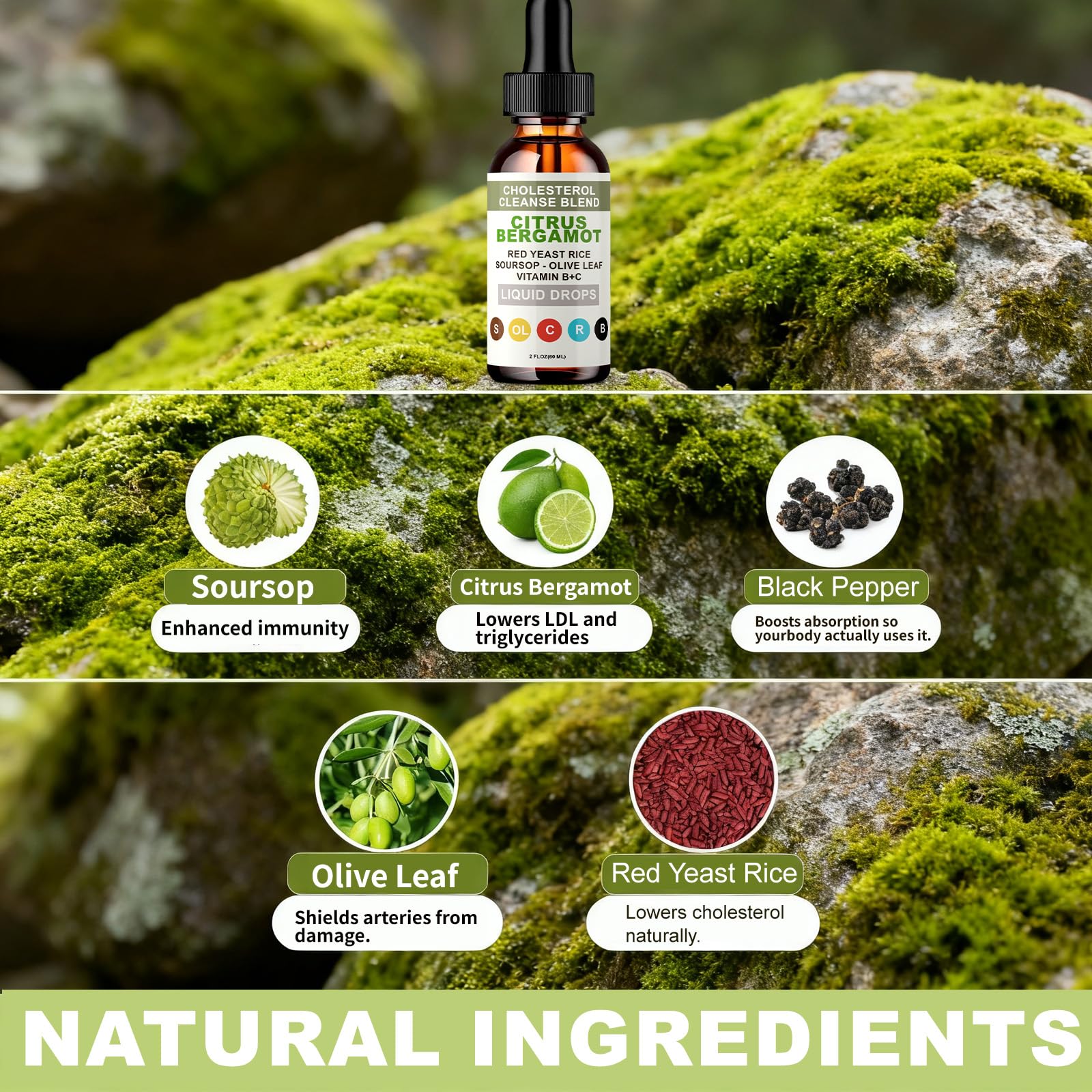 Graphic featuring olive leaf and garlic extracts suggesting herbal vitality support.