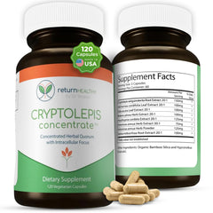 Return Healthy Cryptolepis Concentrate bottle front view signaling immune support potential.