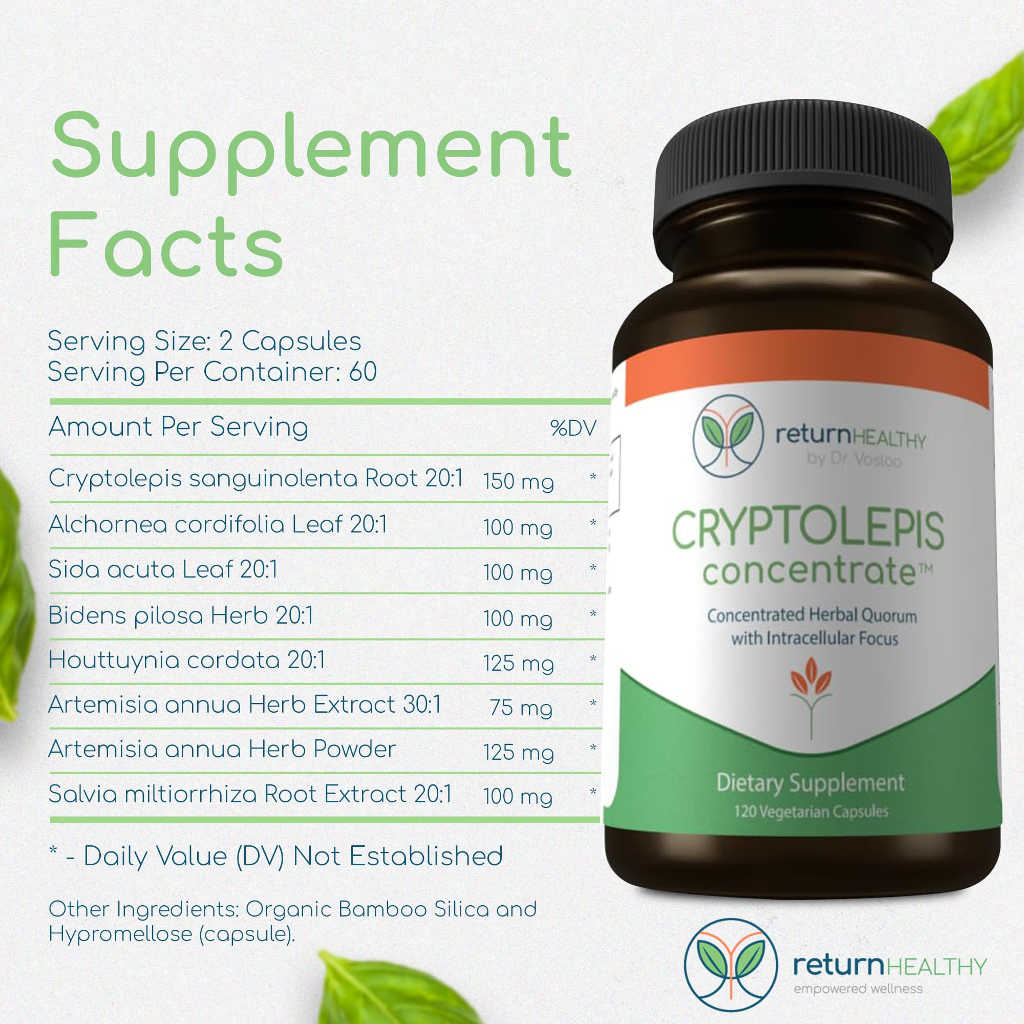 Return Healthy Cryptolepis Concentrate capsules arranged emphasize vegetarian-friendly formula.