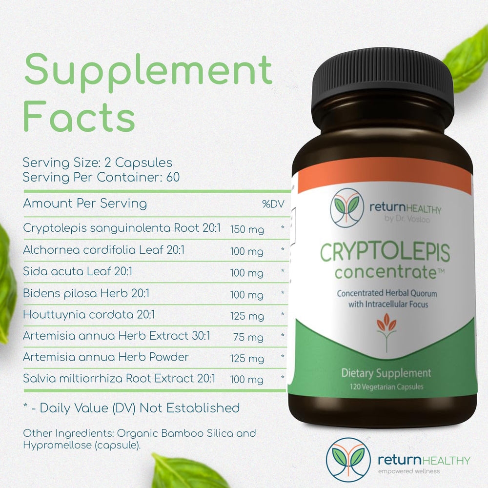 Return Healthy Cryptolepis Concentrate capsules arranged emphasize vegetarian-friendly formula.