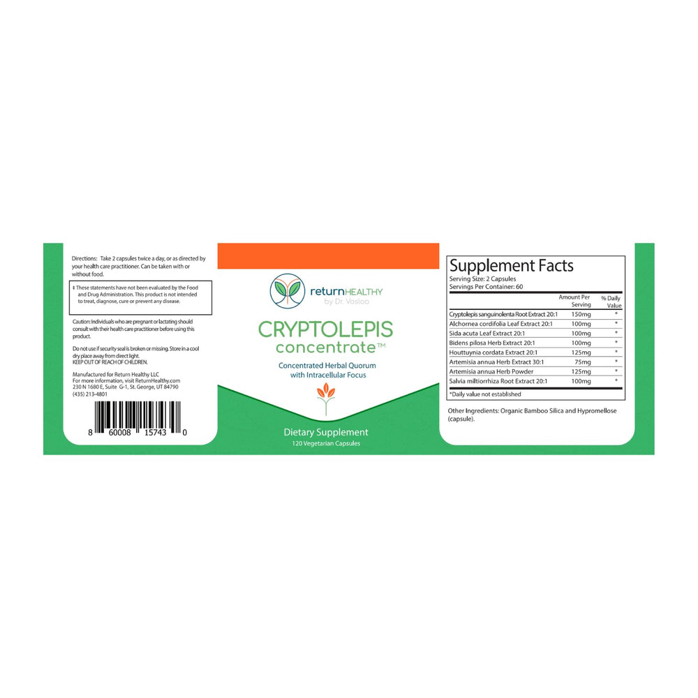 Return Healthy Cryptolepis Concentrate in-use scene conveys on-the-go wellness support.
