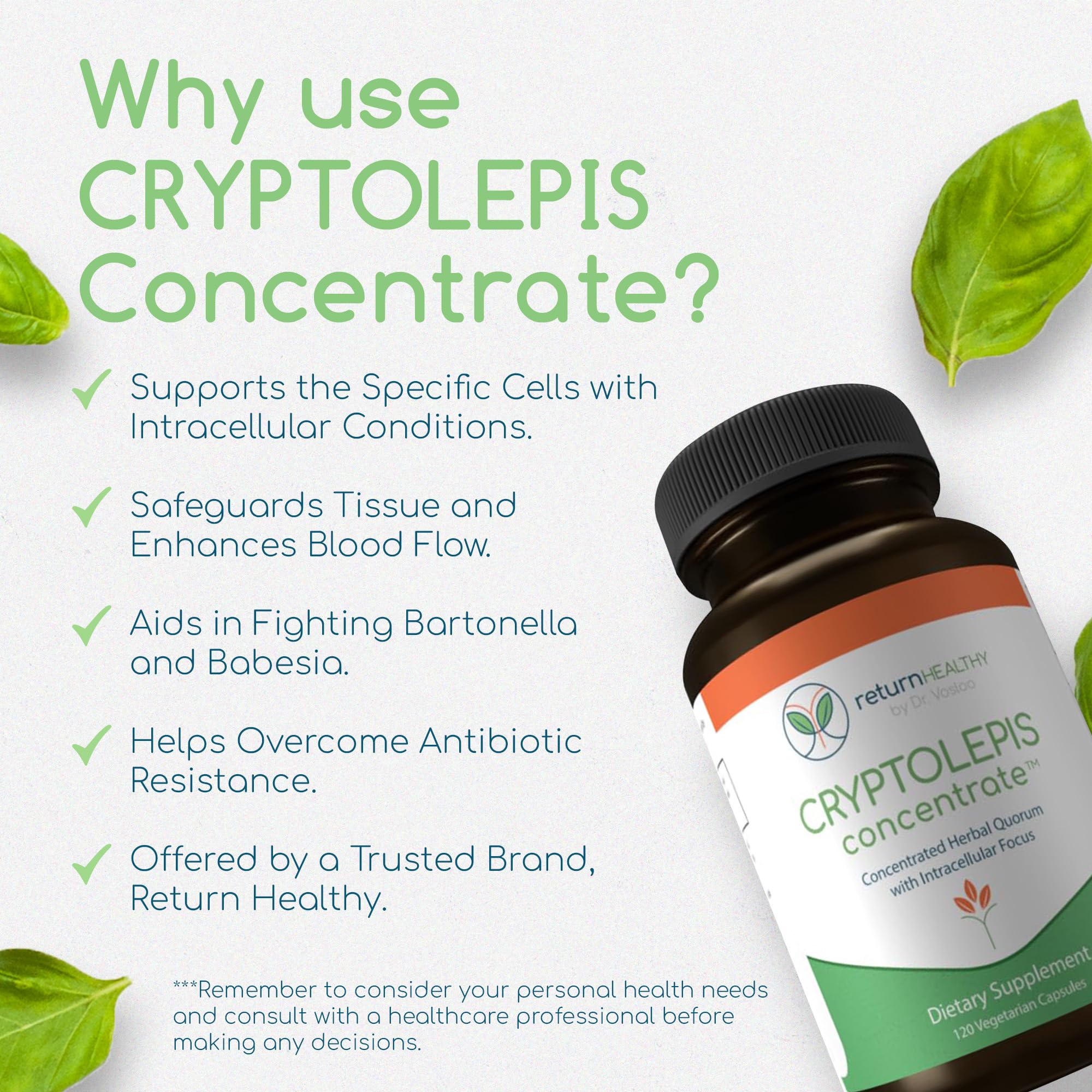 Return Healthy Cryptolepis Concentrate ingredients closeup reveals traditional herbal roots.