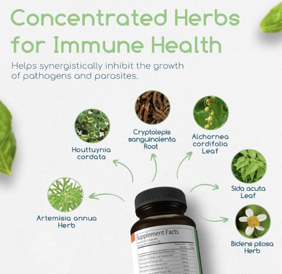 Return Healthy Cryptolepis Concentrate label closeup highlights herbal blend for wellness.