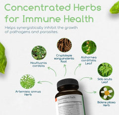 Return Healthy Cryptolepis Concentrate label closeup highlights herbal blend for wellness.