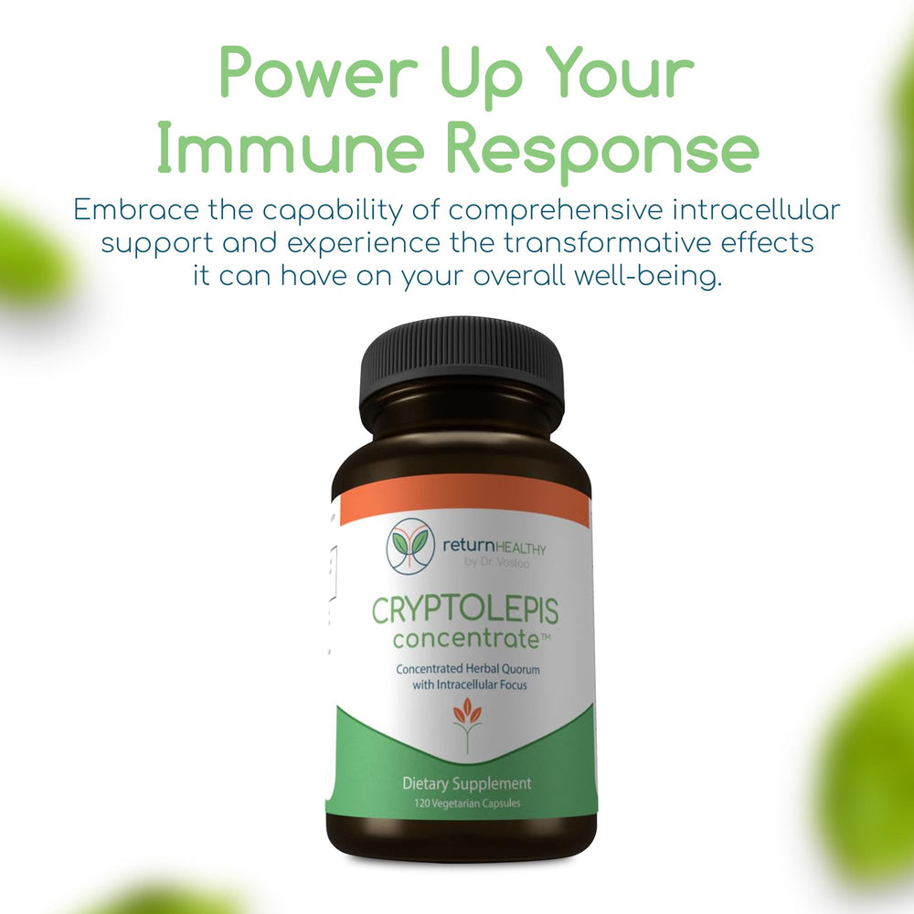 Return Healthy Cryptolepis Concentrate packaging on shelf communicates accessibility.