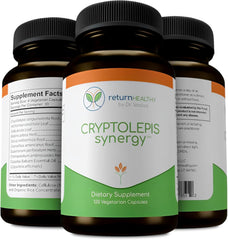 Return Healthy Cryptolepis Synergy bottle front for easy daily immune support.