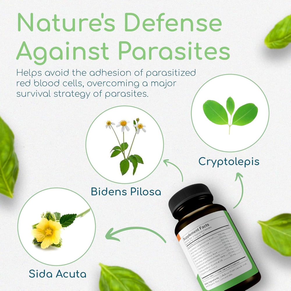 Return Healthy Cryptolepis Synergy bottle pour illustrating simple daily dose.