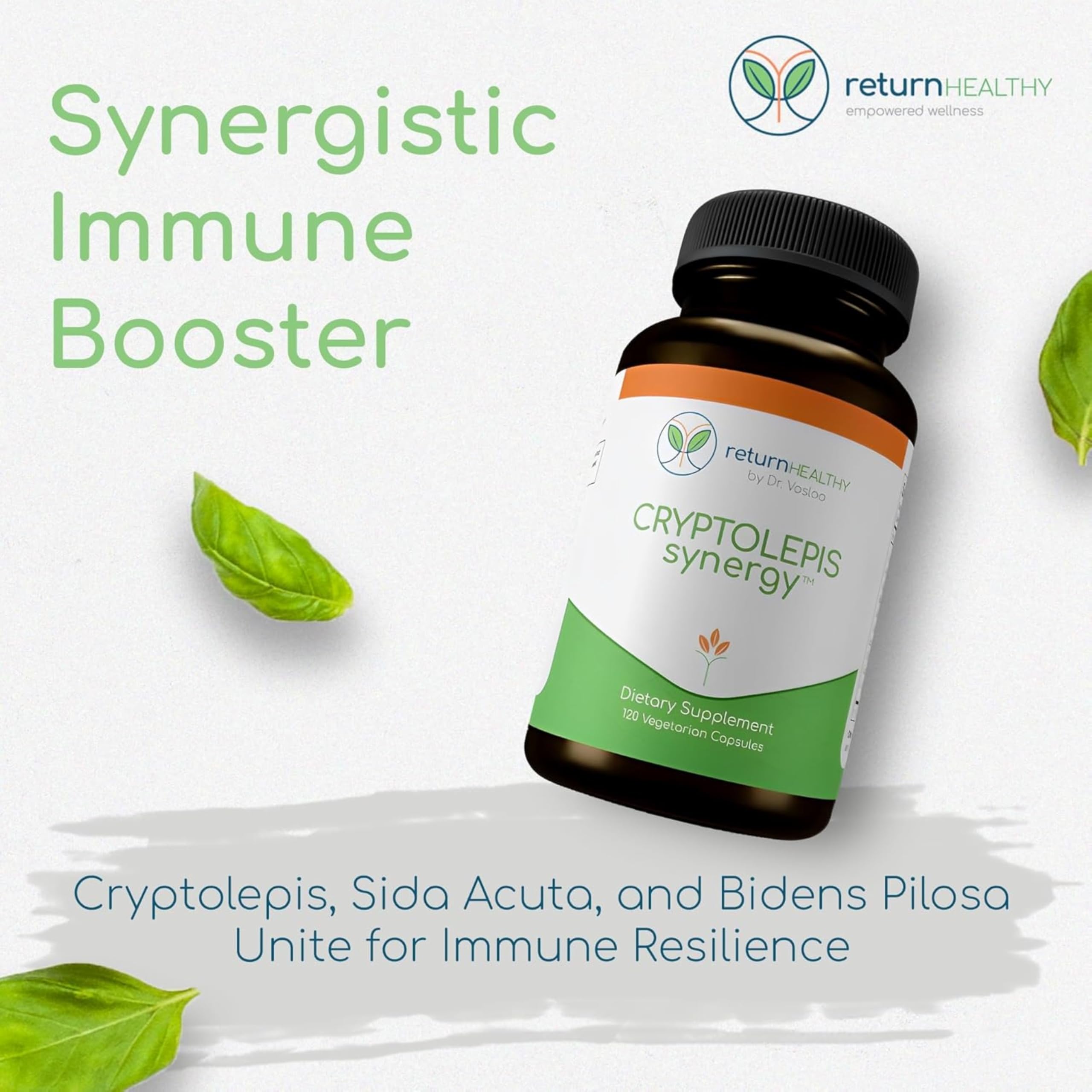 Return Healthy Cryptolepis Synergy capsules close-up showing compact tablets.