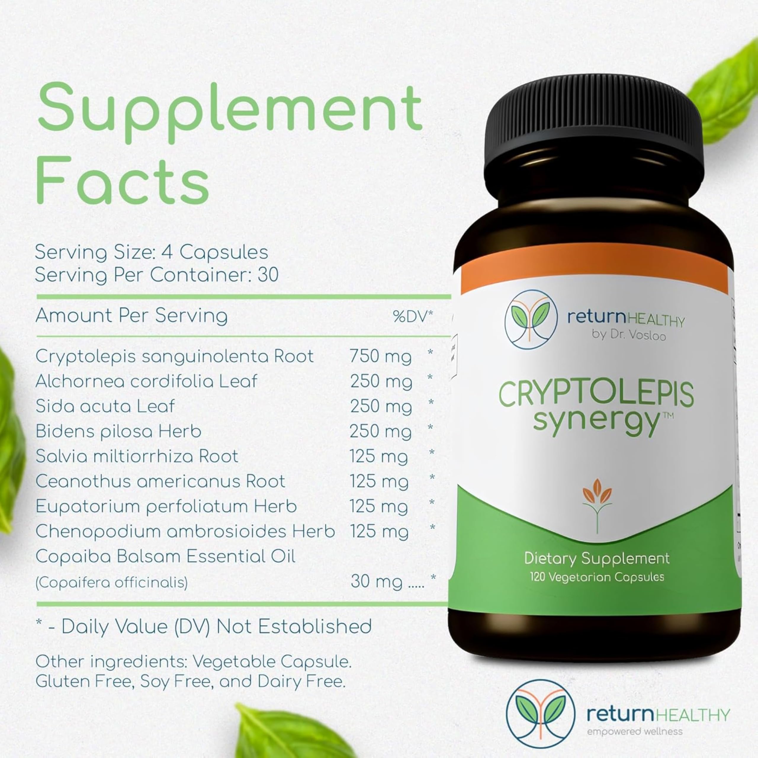Return Healthy Cryptolepis Synergy capsules on wood surface ready for use.