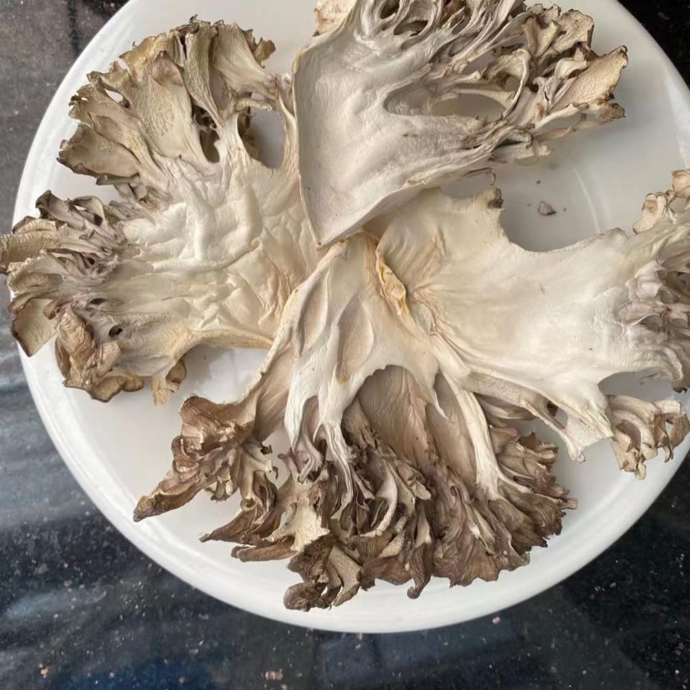 REUEHDS Maitake Huishuhua ambient photo; natural farm-fresh feel for dinner.