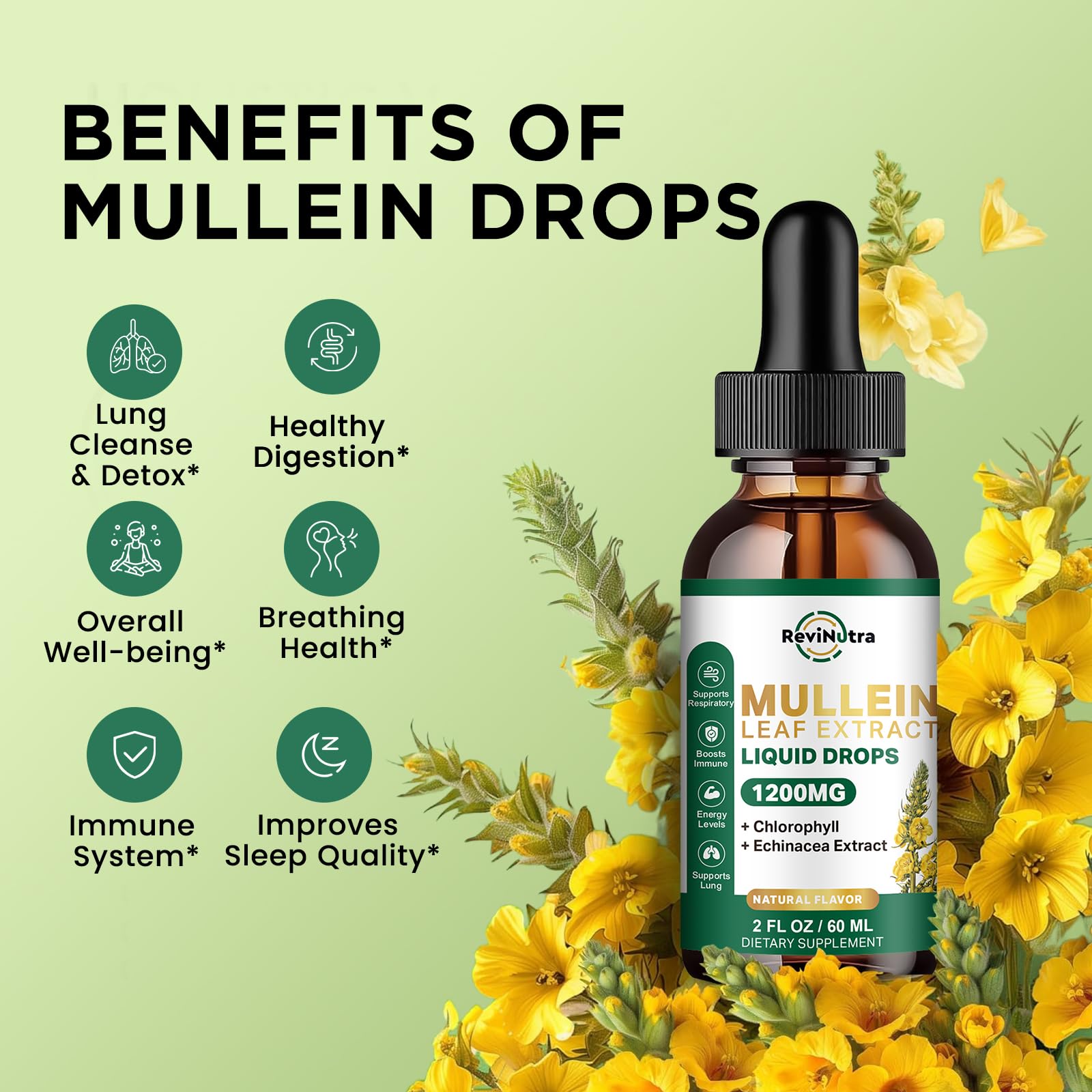 ReviNutra Mullein Drops dropper pours for quick, easy daily dosing.