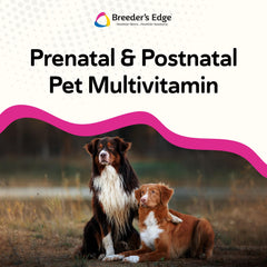 Revival Breeder’s Edge packaging in a breeder’s setup