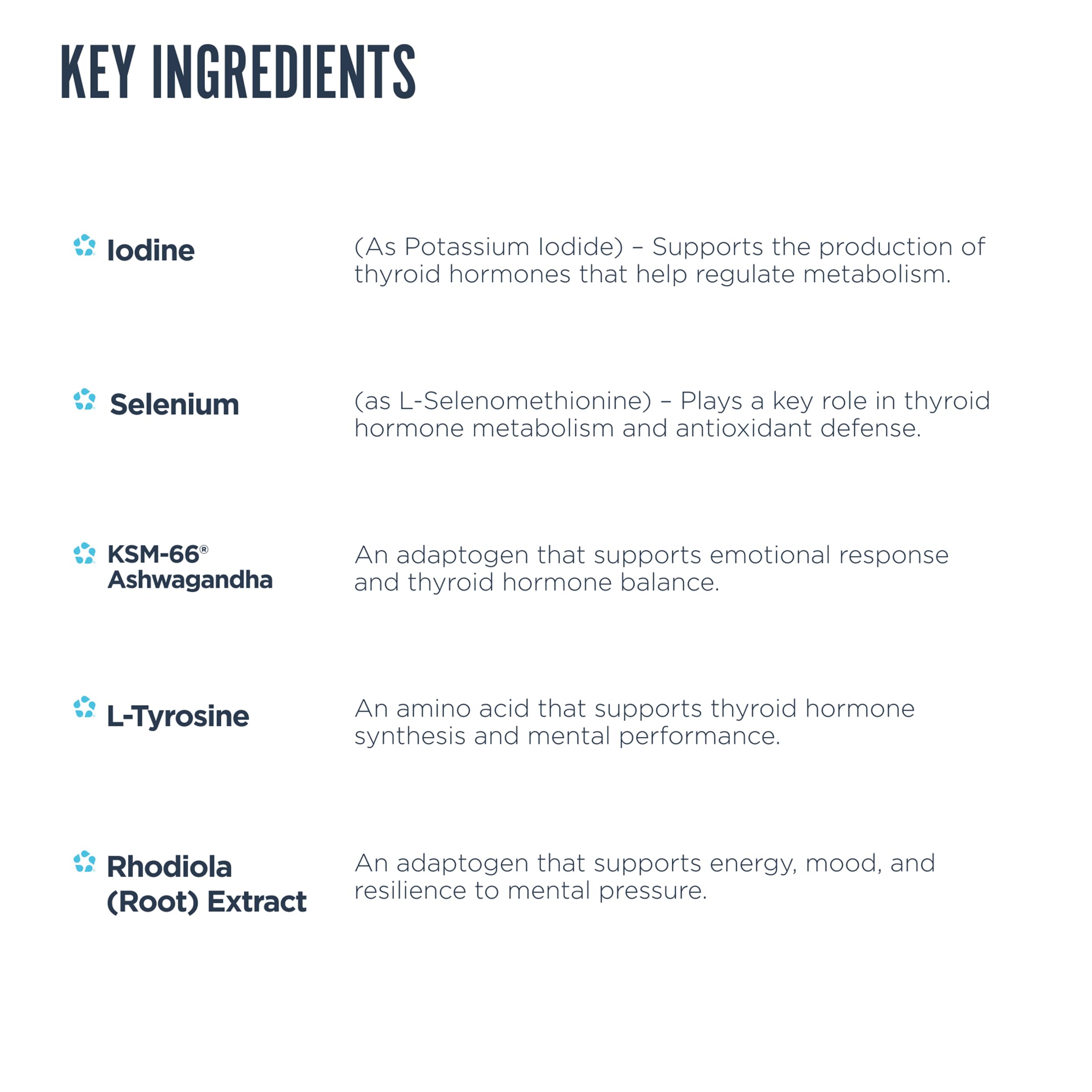 Label detail showing iodine, zinc, and selenium ingredients for thyroid wellness