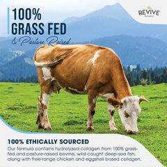 Revive Naturals Multi Collagen powder pouring into a glass for smoothies