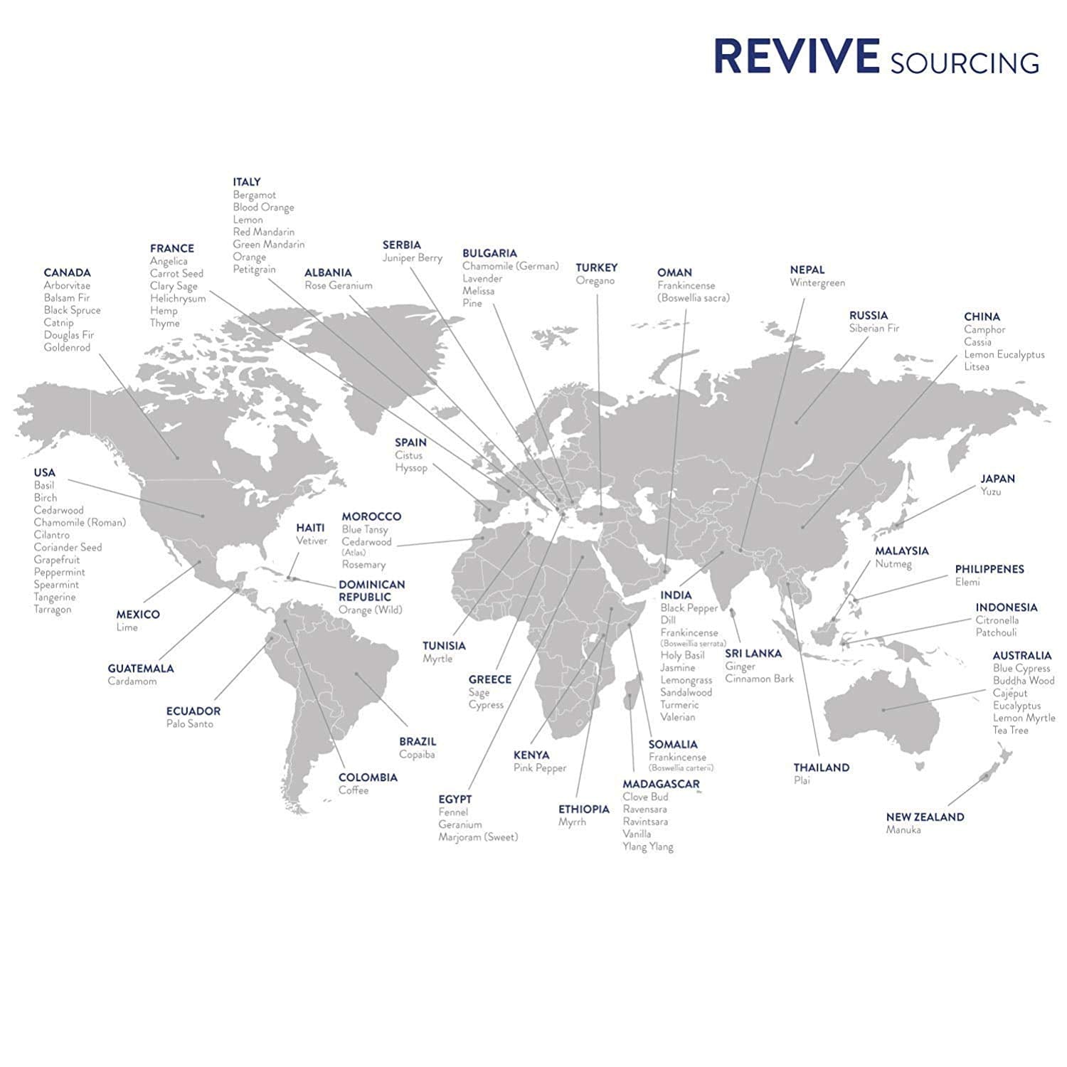 REVIVEEO Bergamot oil in skincare routine for fresh glow.